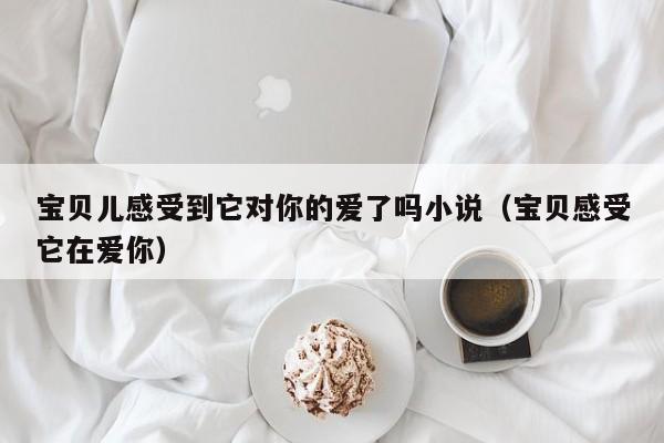 宝贝儿感受到它对你的爱了吗小说（宝贝感受它在爱你）