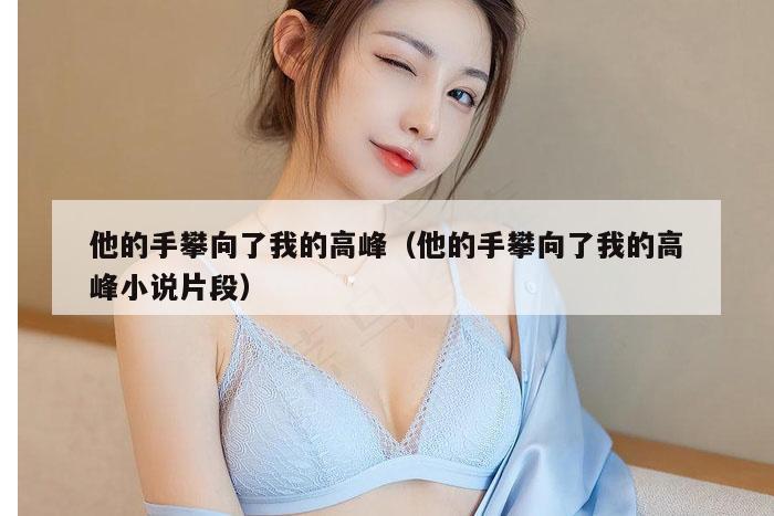 他的手攀向了我的高峰（他的手攀向了我的高峰小说片段）